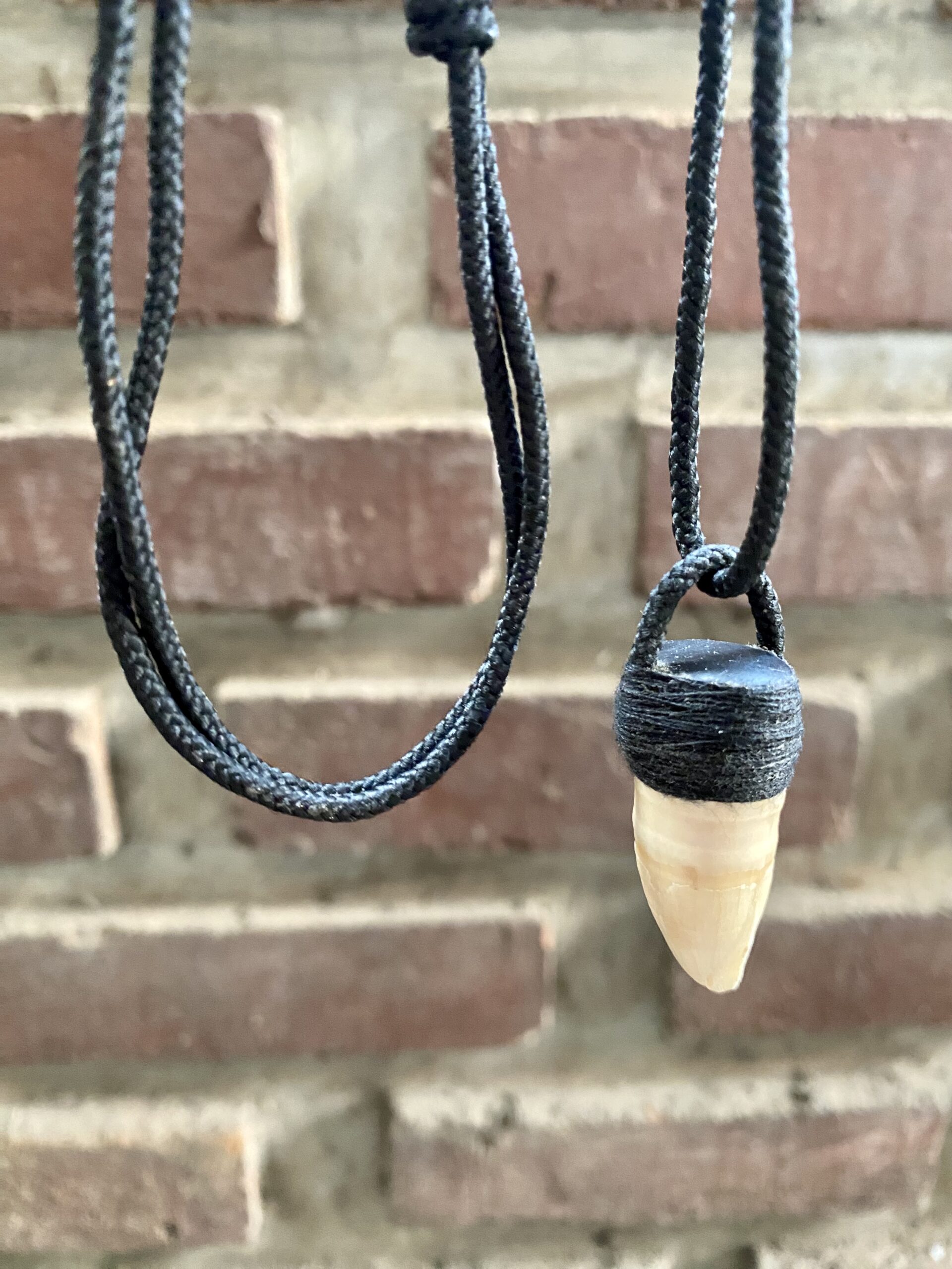 Crocodile Tooth Necklace – Borneo Tribal Jewelry