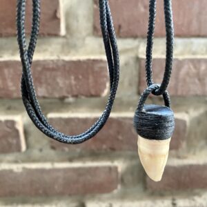 real crocodile tooth choker handmade from Borneo